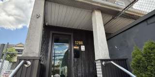 1288 Forest Avenue 1288 Forest Avenue Gallery 1