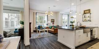 Vera Cedar Park Gallery 12