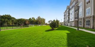 Molly Brook on Belmont Gallery 19