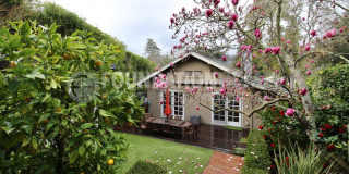 Charming Mill Valley Home with Backyard Office – Prime Boyle Park Location, Just a 5-Minute Walk to Downtown. FOUNDATION Gallery 30