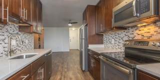 Whitestone at Landmark Gallery 38