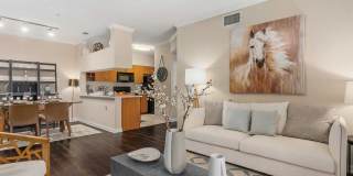 Grandea Bellfort Gallery 13