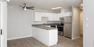 Outlook 16 Gallery 3