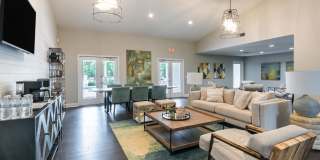 Ocean Oaks Gallery 27