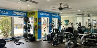 Derby at Steeplechase Gallery 26