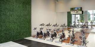 Camden Highland Village Gallery 37