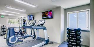 Alpine Flats Gallery 14