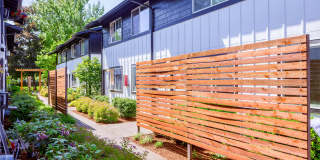 M Street Apartments Gallery 17