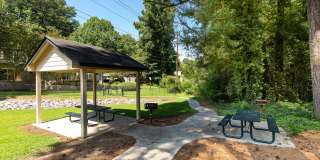 Hidden Colony Gallery 22