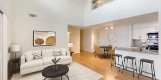 Avalon Commons Gallery 2