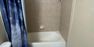 First 2 weeks free offer Gallery 7