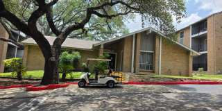 Forest Ridge Gallery 24