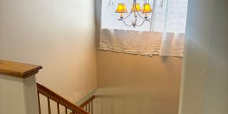 For Rent in Excellent Neighborhood! 80130 For Rent in Excellent Neighborhood! 80130 Gallery 10