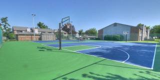 Canter Chase Gallery 9