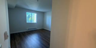 Village Way Gallery 24