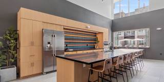 Legacy at Fitz Gallery 36