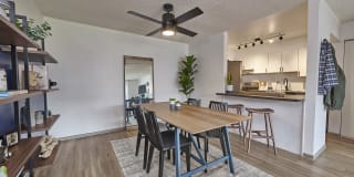 Novi at Lowry Gallery 20