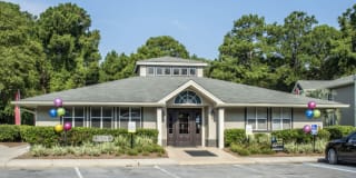 The Lory of Panama City Gallery 2