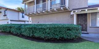 Carlyle Square Apartment Homes Gallery 7