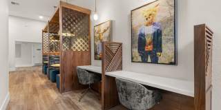 Avana Star Lake Gallery 10