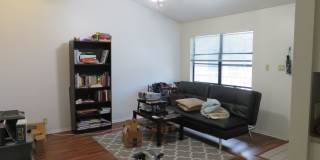 WINDTREE 306 Gallery 15