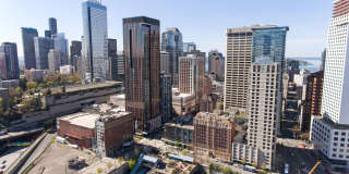 Nine and Pine Apartments Gallery 11