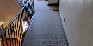 The Patricia Apartments  - the most elegant apartments in Richmond Gallery 30