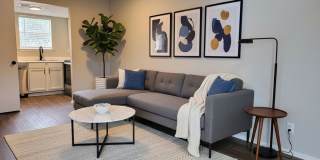 Ivy Plains at Brooks Gallery 3