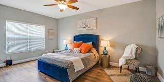 223 RUDOLPH Gallery 11