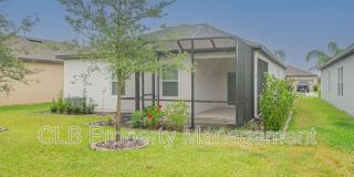 3012 Neverland Dr Gallery 5