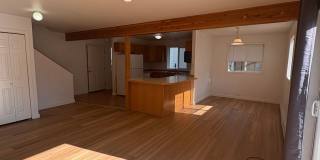 Classic 3 Bedroom 2 Bath Home with Attached 2 Car Garage! Gallery 1