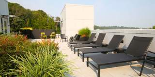 Summerstone Apartments Gallery 22