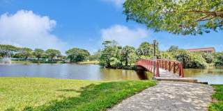 955 Dotterel Road Gallery 53