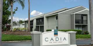 Cadia on the Loop Gallery 21