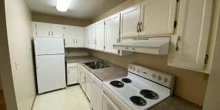 V10301-215 Gallery 6