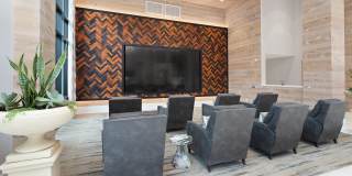 Onyx North Central Gallery 18