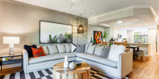 Avalia Gallery 5
