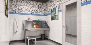 Trail House Apartments Gallery 12