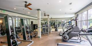 Pine Street Flats Gallery 25