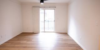 The Moxie Gallery 28