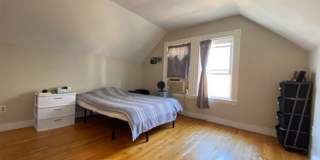 Large 4 bed in Mission Hill Gallery 19