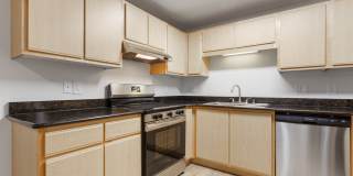 Reflections at the Park Gallery 6