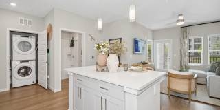 Ascend Nona West Gallery 3