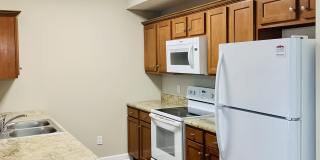 520 Village Creek Dr Gallery 4