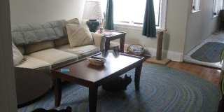 46 Orkney Rd#2 Gallery 17