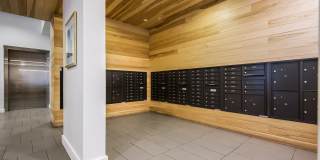 Lamar Union Gallery 63