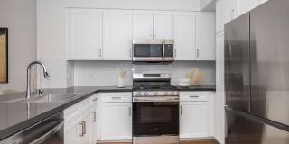 Vineyards Gallery 152