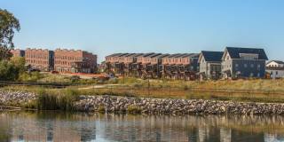 The Bungalows on the Lake - The View Gallery 384