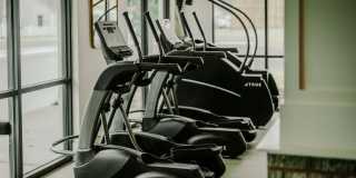 The Taylor Gallery 67