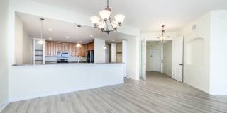 PET FRIENDLY UNFURNISHED ELEVATED PENTHOUSE LIVING WITH PRIVATE ELEVATOR Gallery 14